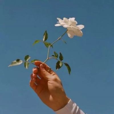 可以上下分捕鱼app截图